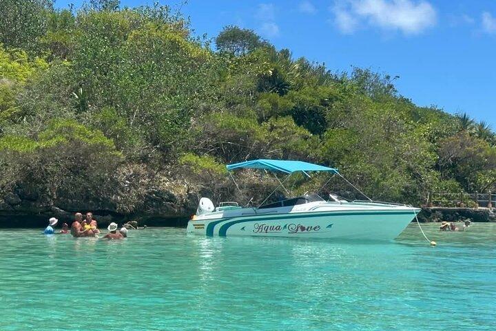 Excursion hors-bord des 5 îles avec déjeuner barbecue à l'île Aux Cerfs