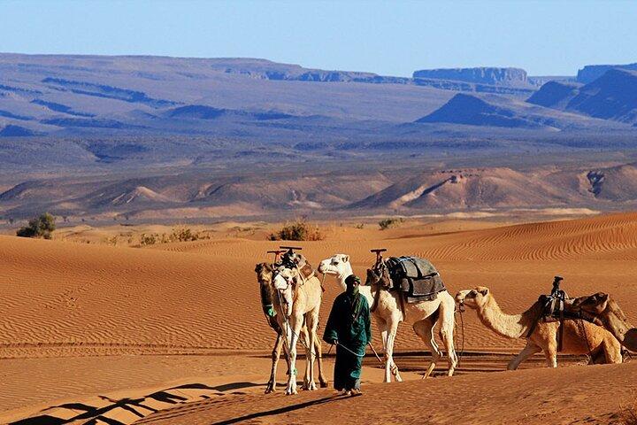 2 Days Excursion into Zagora flat Desert