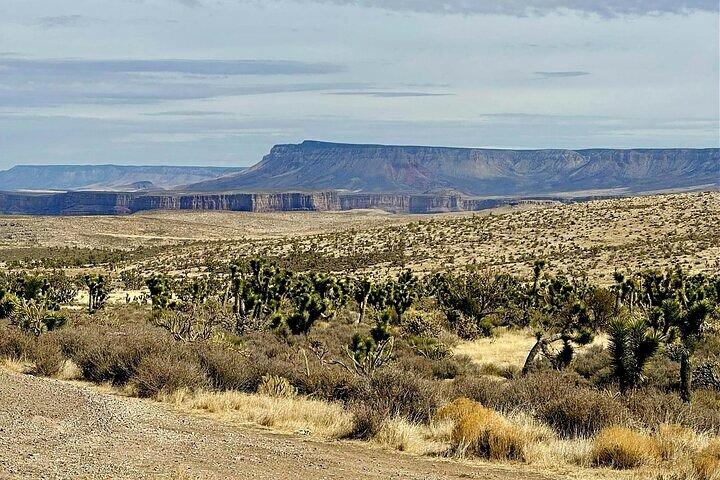 Grand Canyon Helicopter and Ranch Adventure por veículo de luxo