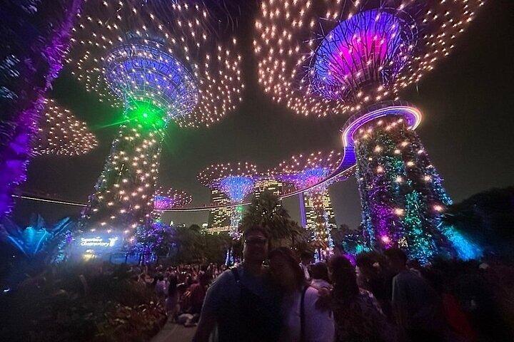 Private Tour : Singapore River Cruise & 2 Top-Besuch Lichtshows