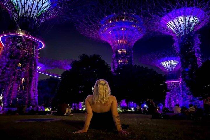 Private Tour : Singapore River Cruise & 2 Top-Besuch Lichtshows