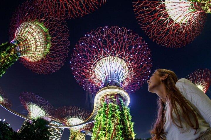 Private Tour : Singapore River Cruise & 2 Top-Besuch Lichtshows