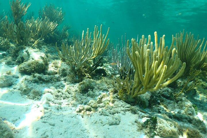 4 - Stop Stingray, Snorkel, Servizi e dotazioni della struttura