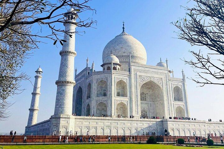 Taj Mahal at Sunrise and Agra Day Tour from Delhi