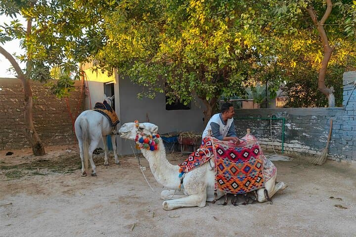 Luxor Private Nile River Motorboat Ride & Banana Island Visit