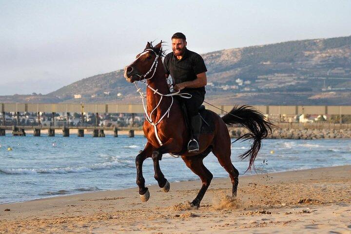 Sunset Beach Ridning i Libanon