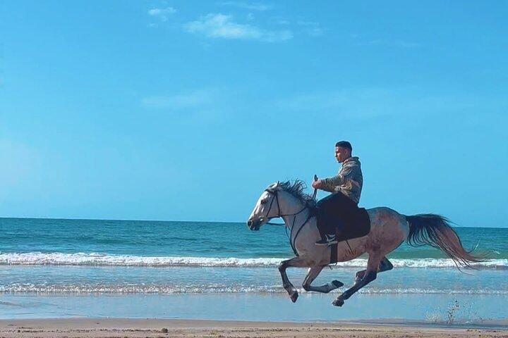 レバノンのサンセットビーチ乗馬