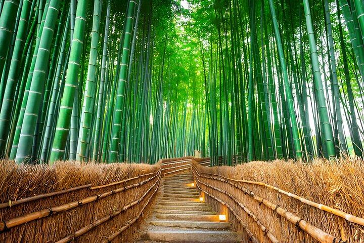 Excursão em Kyoto, Osaka e Nara