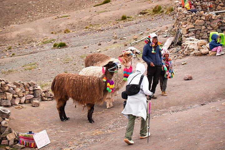 Cusco Rainbow Mountain y Valle Rojo Trek