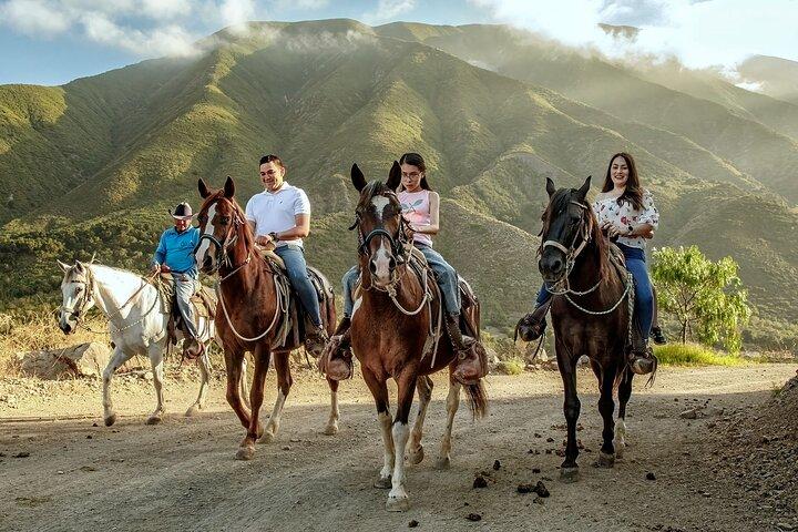 Las Cañadas Horseback Riding (with Luxury Transportation)