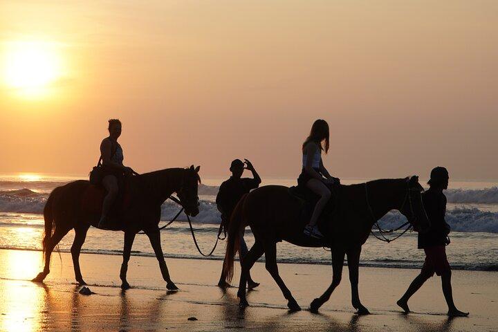 Escursioni a cavallo e tour di Bali
