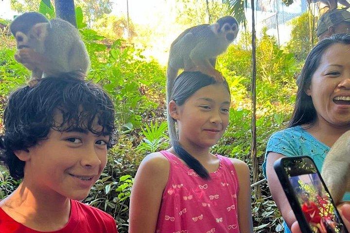 Combo : Damajagua and Monkey Sanctuary with Typical Lunch