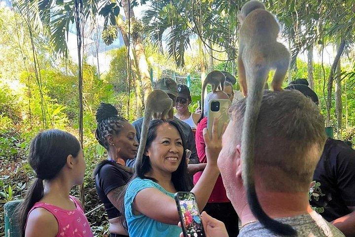 Combo : Damajagua and Monkey Sanctuary with Typical Lunch