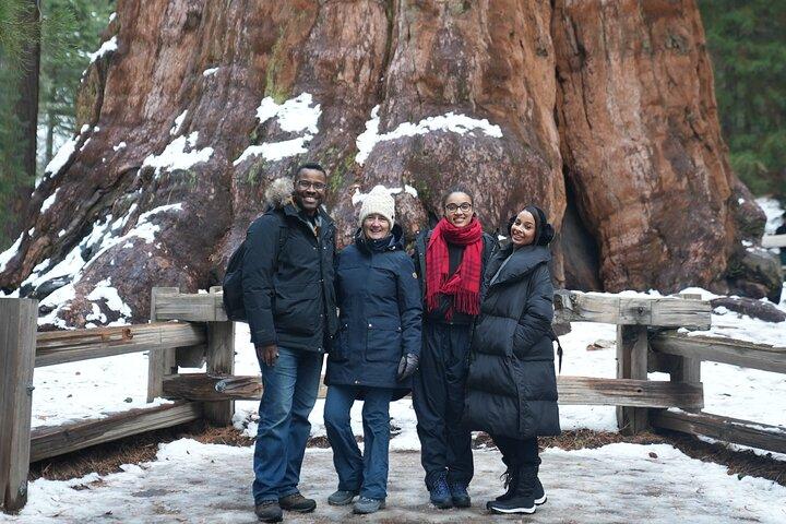 Privé 2 - Excursion d'une journée dans les parcs Sequoia et Kings Canyon au départ de LA