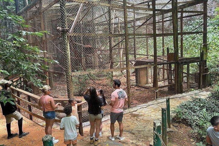 Combo: Adventure in ATV and Monkeys
