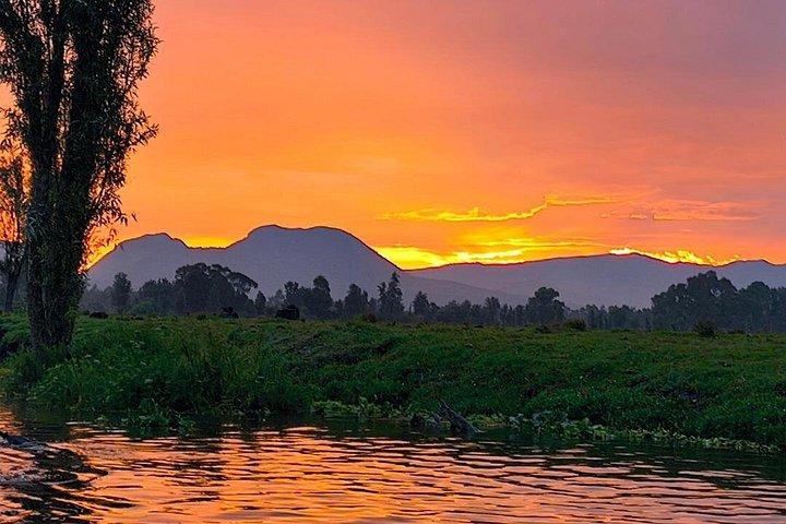 Xochimilco at Dawn on Kayak