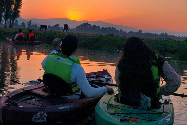 Xochimilco at Dawn on Kayak