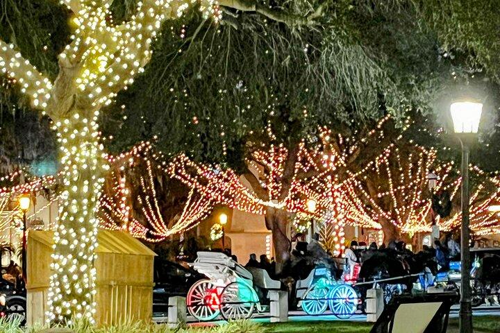 Nights of Lights 貸切電動ジョイは最大7名乗車！