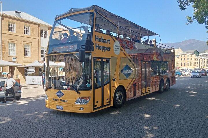 Hobart Shore Excursion - Open Top City Explorer Tour 9.30