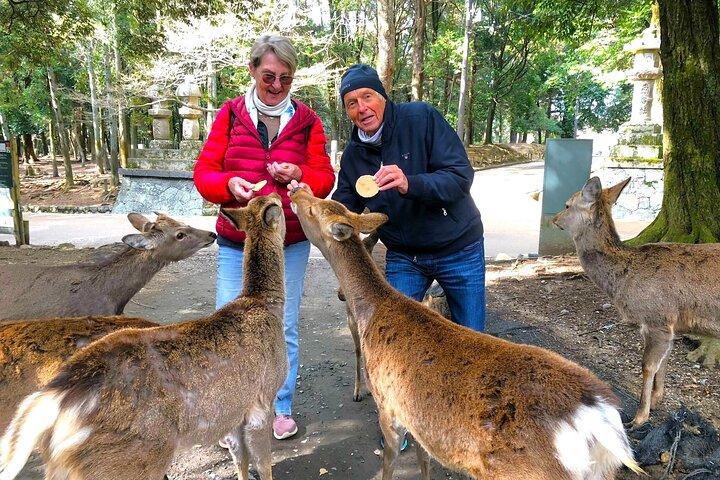 Nara: Halbtägige private Tour durch 4 Must-See Spots & Deer Park