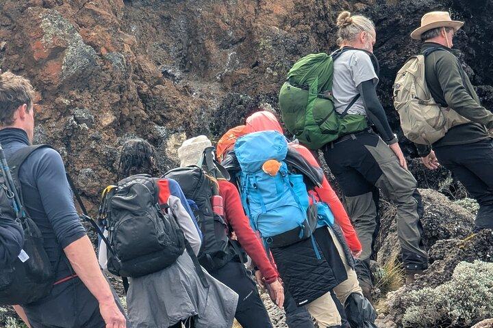 7 dages eventyr Machame rute