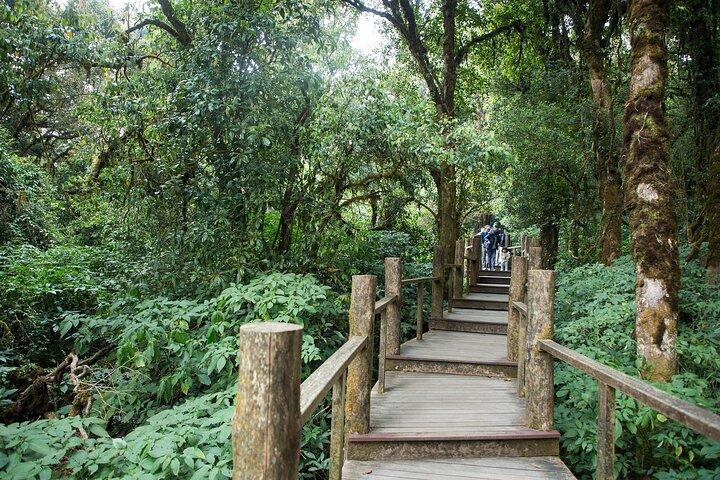 Hoteller i nærheden af Doi Inthanon Summit Waterfalls and Hill Tribe Day Tour