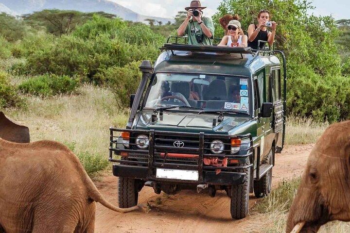 5 Day Comfort Wildlife Safari in Kenya National Parks