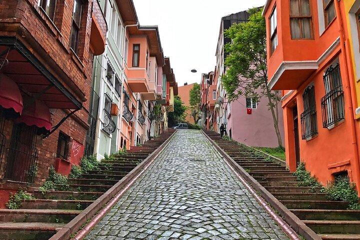 Istanbul Private Tour with driver: Sultanahmet and Chora Church