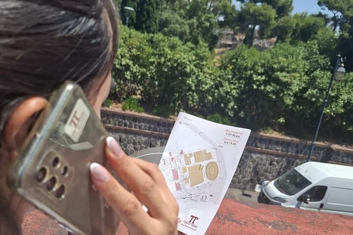 Pompeii: Entrance ticket (art) + audioguide + map