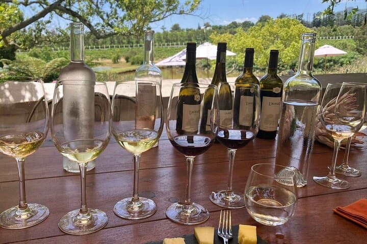 Full Day Wine Tour in Stellenbosch with Shine The Way Tours