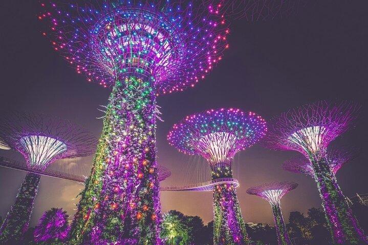 Biglietto Garden by the Bay