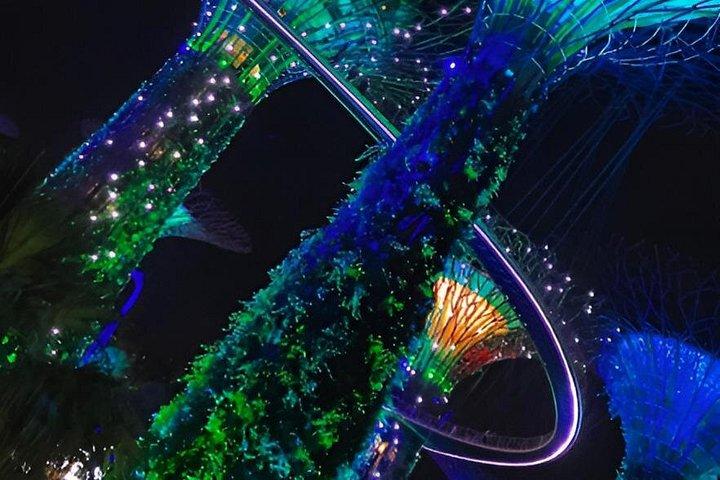 Gardens by the Bay Ticket