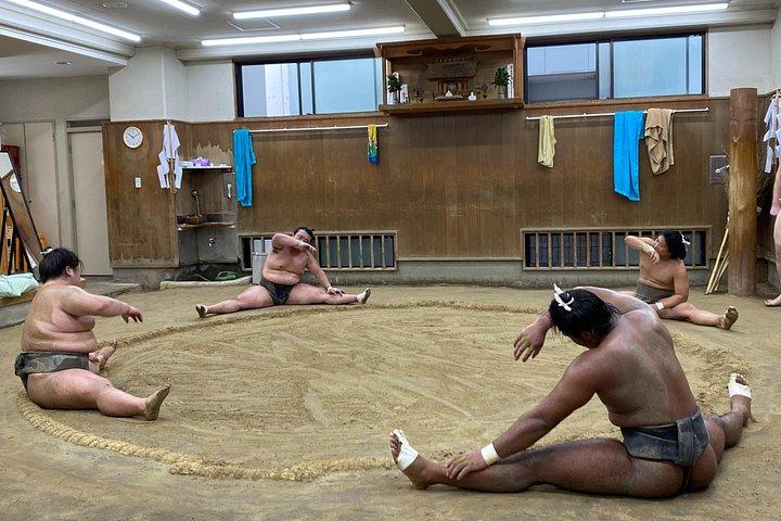 Tokyo Sumo Morning Practice with Guide – Ringside Live Training