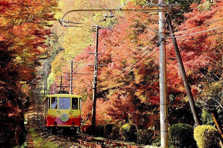 Walking Tour Mount Takao : Nature and Tradition in Tokyo