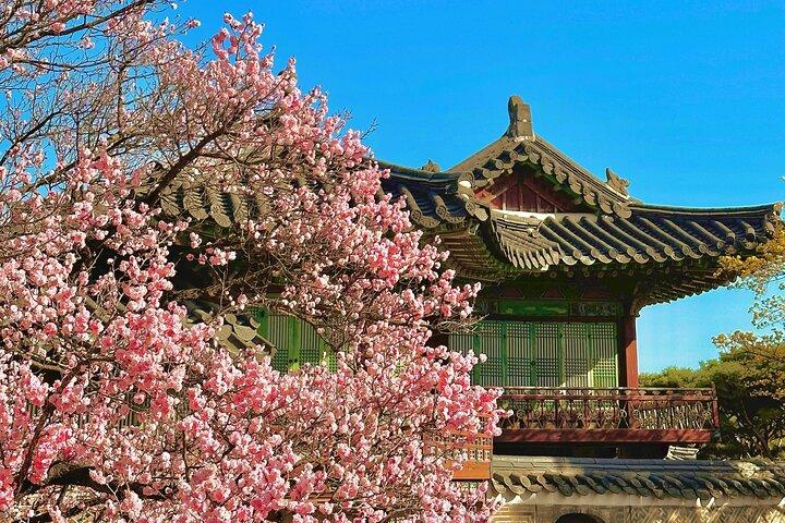 Seoul City Kirschblüte Private Sightseeing Tour