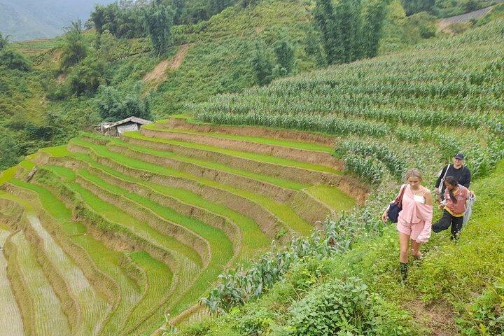 Sapa Homestay Trekking Tour Fansipan Peak et Muong Hoa Valley