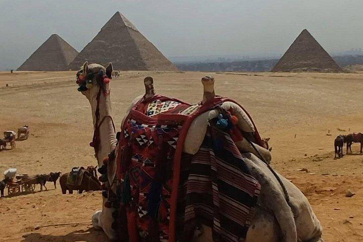 Visita guiada privada a las pirámides y esfinge de Guiza
