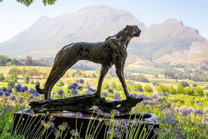 South Africa Cape Winelands Full Day Private Tour