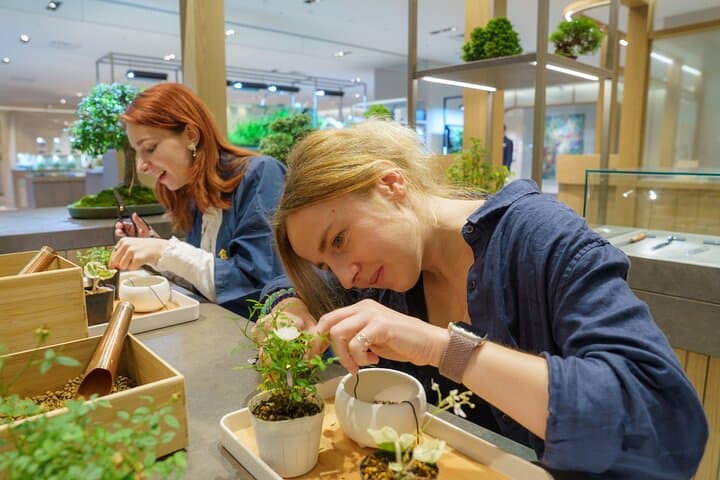 Tokyo: Bonsai Making Experience with Bonsai Master