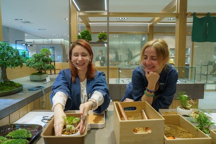 Tokyo: Bonsai Making Experience with Bonsai Master