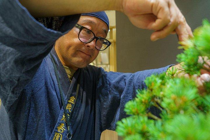 Tokyo: Bonsai Making Experience with Bonsai Master