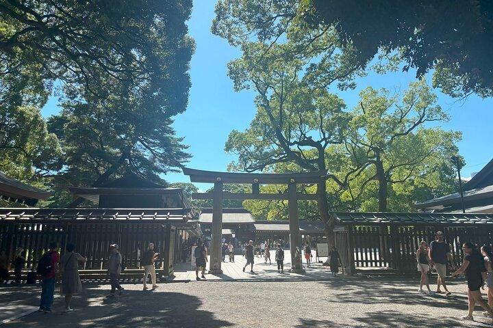 Tokyo Harajuku Walking Tour Meiji Jingu Yoyogi Park and More