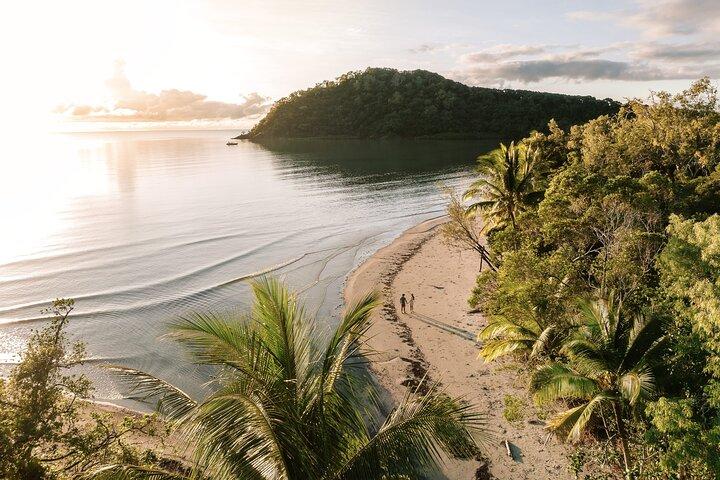 Cairns til Daintree Cape Tribulation 3-dages tur via Port Douglas