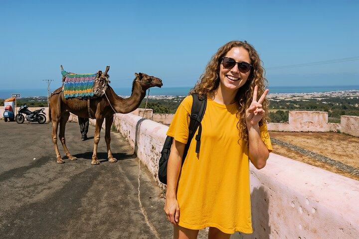 Excursion privée d'une journée à Essaouira au départ de Marrakech