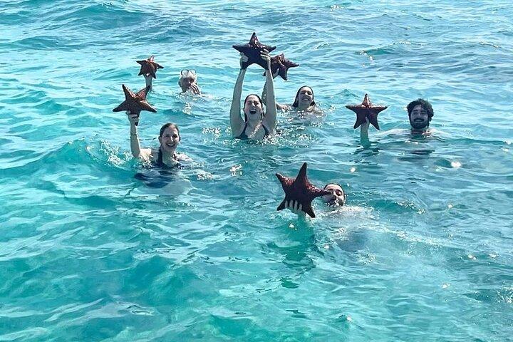 Groupe Catamaran 4 heures tour récif corallien amusant Iguane île aventure!