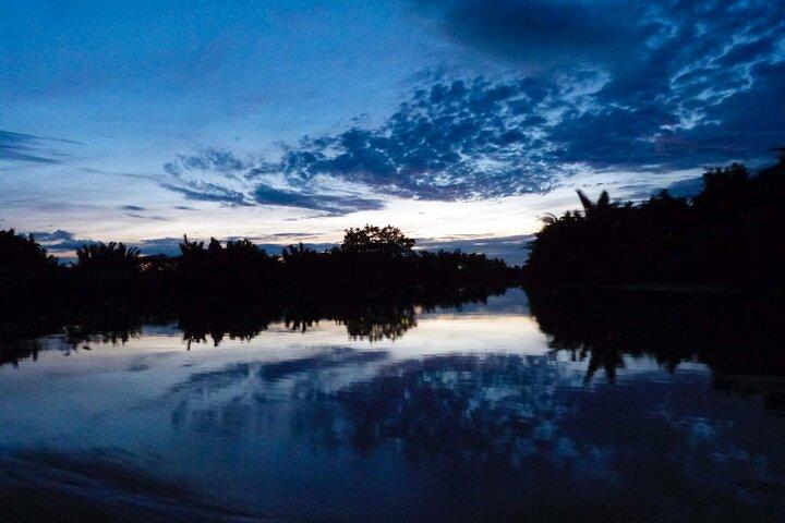 Semporna: Mangrove Cruise, Fireflies, Transferência & Jantar