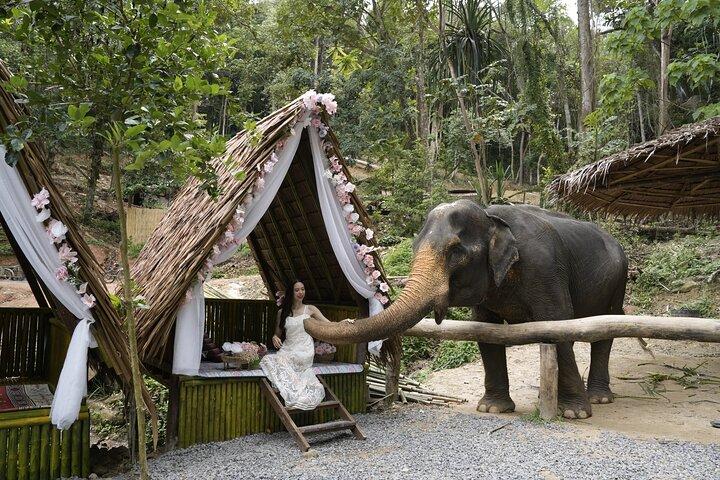 Medio día con elefantes en Patong Elephant Hug (Sin paseo Sin truco)