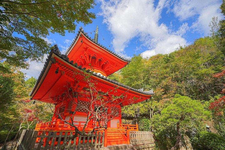 Full Day Tour Hiroshima Hidden Gems and Highlights