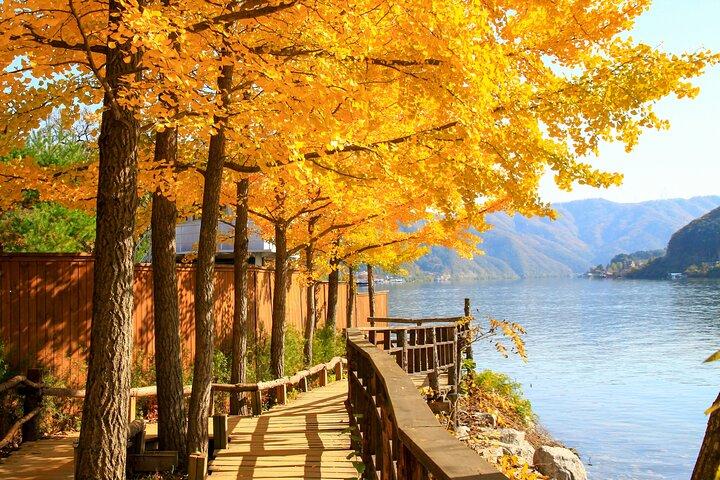 Nami Island Ganztagesausflug mit opt Gangchon Rail Bike ab Seoul
