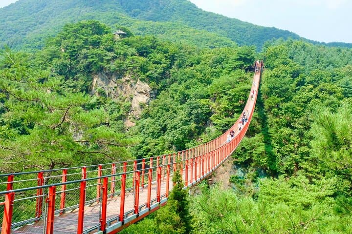 Seoul DMZ Tour with 3rd Tunnel and Red Suspension Bridge